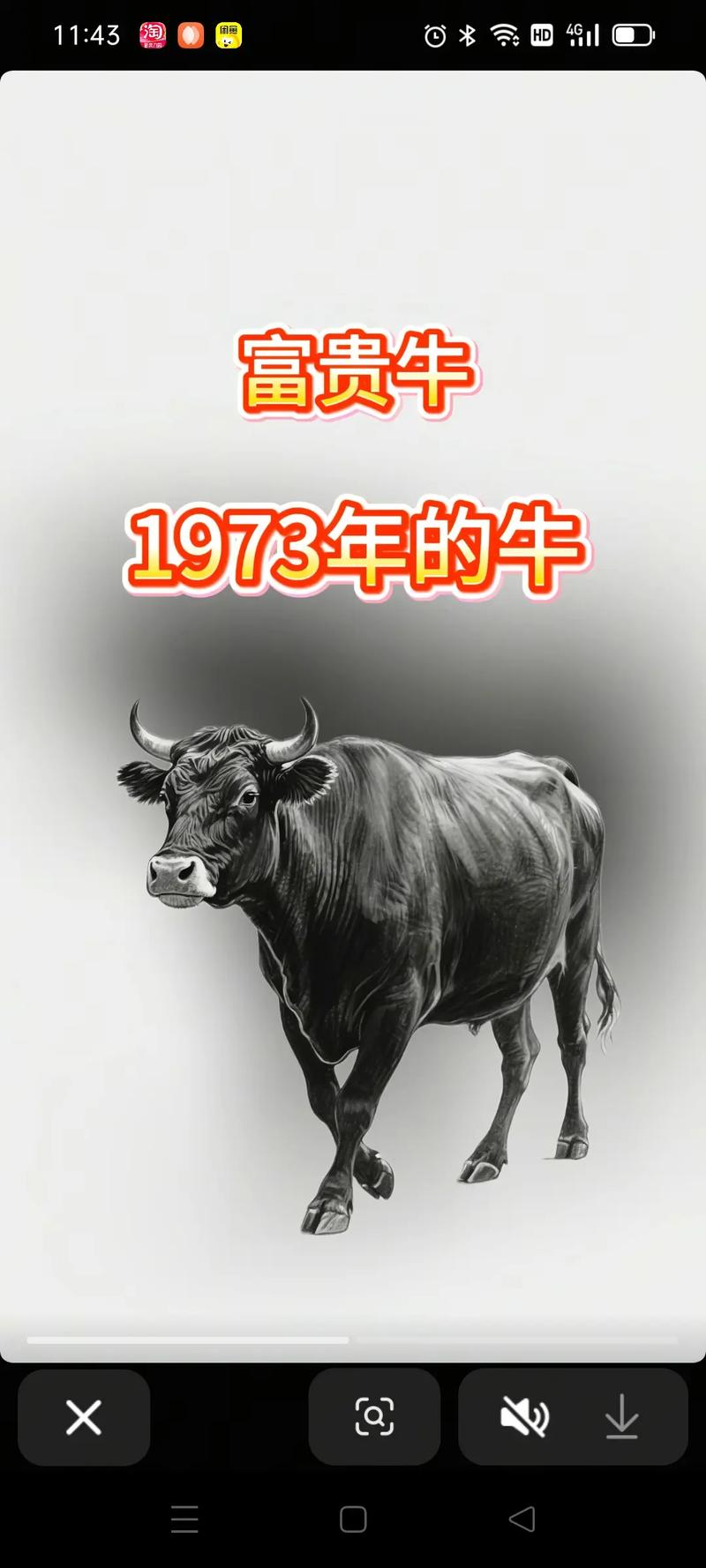 42932金牛版网