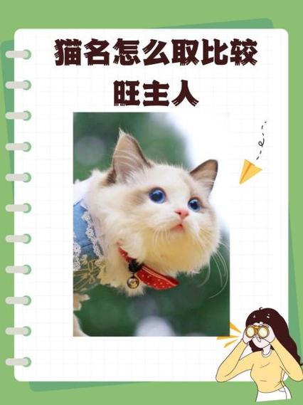 猫最旺的三个名
