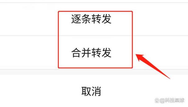 通讯录不小心合并了怎么办