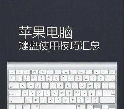 苹果键盘遮挡设置方法