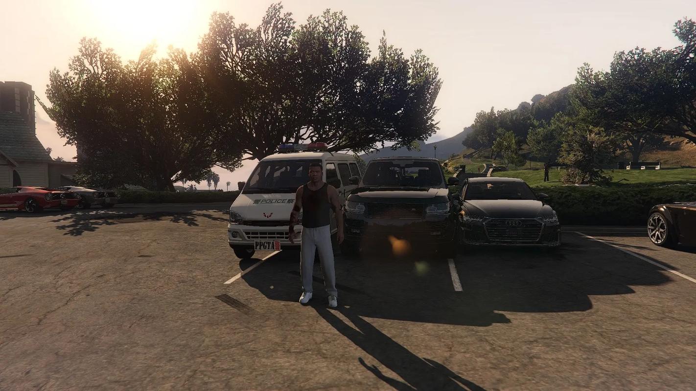 gta5稍微离远点就模糊