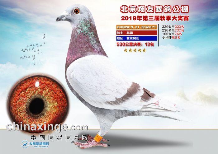 北京翔友赛鸽俱乐部