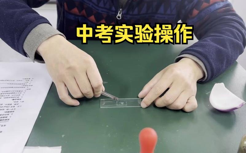 洋葱临时装片视频