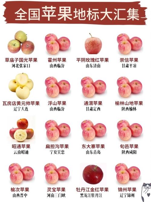 苹果笔记本换屏幕大概多少钱