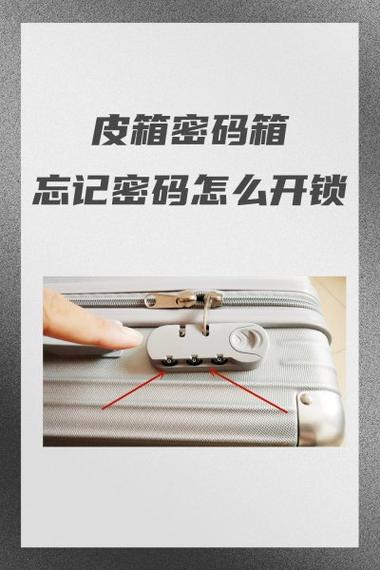 密码箱忘记密码了咋整