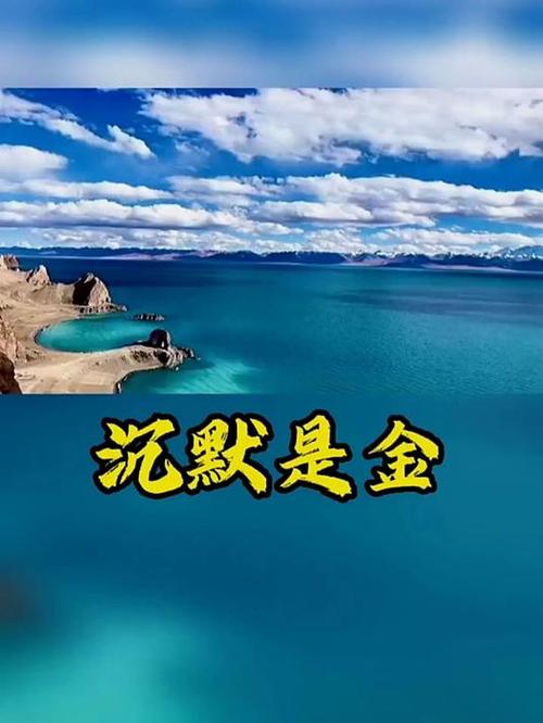 沉默是金国语版图标