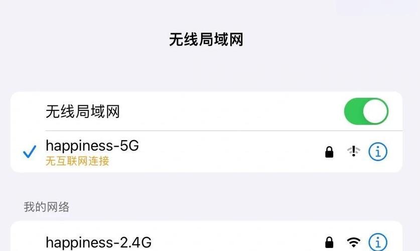 ipad没有无线局域网怎么回事图标
