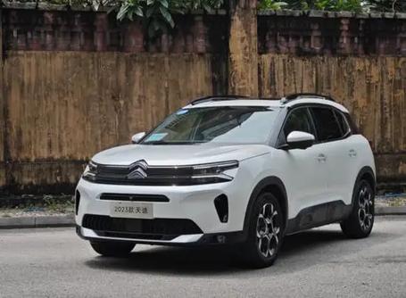 车标长得像2个人的车