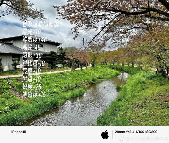 iphone原相机调色保存
