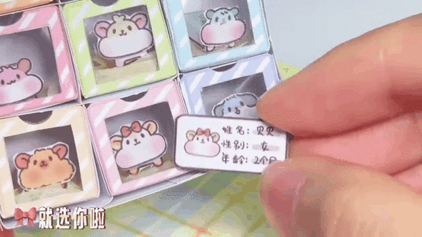 仓鼠的寿命一般多久