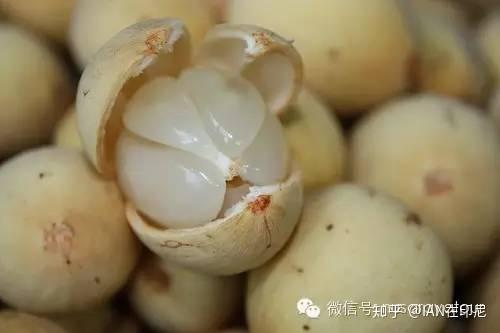 印度尼西亚有什么特产