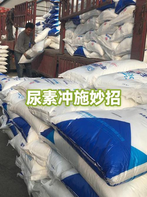 滴灌冲施尿素正确方法