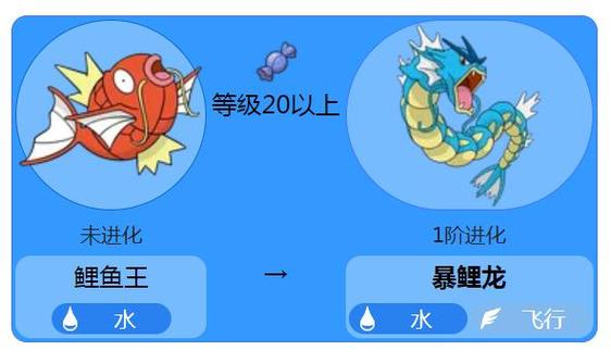 鲤鱼王进化特性会变吗