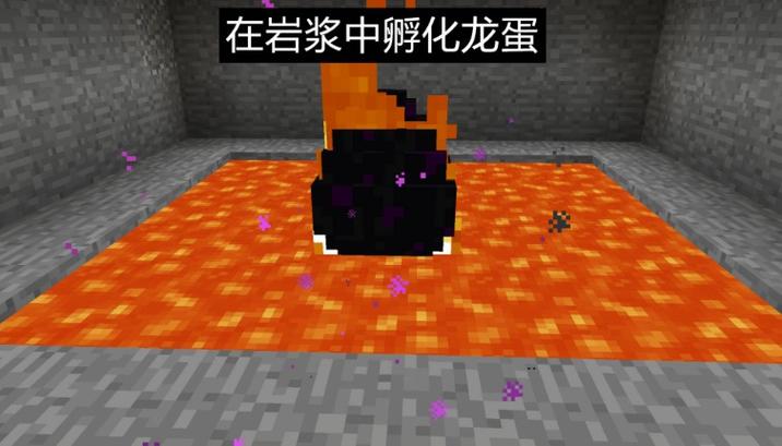 如何孵化末影龙蛋