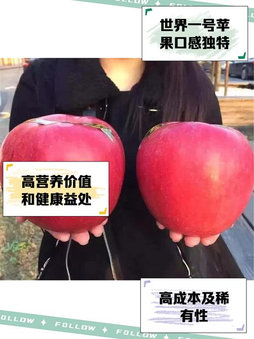语探苹果下载