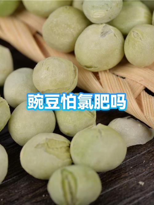 豌豆是癌细胞最喜欢吃的吗