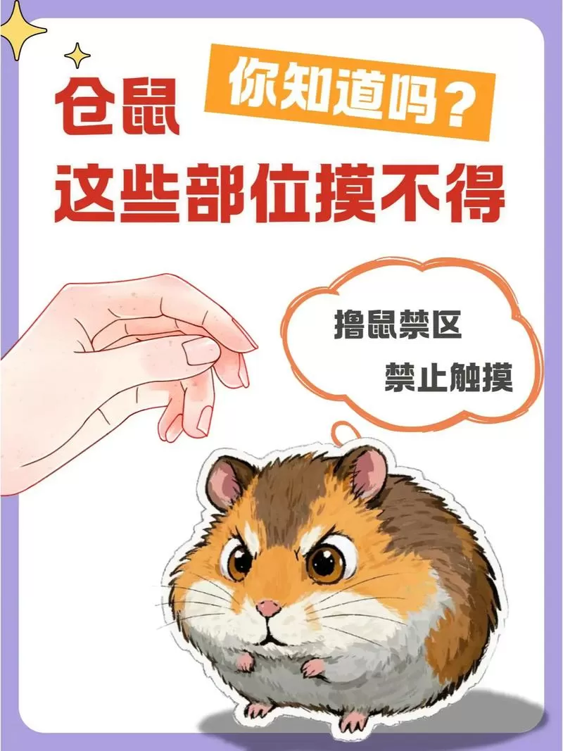 摸仓鼠会得鼠疫吗